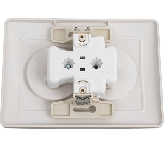 Розетка Systeme Electric Blanca внутр Титан 2-ая б/з без шторок, 16А, 250В SE BLNRS000024