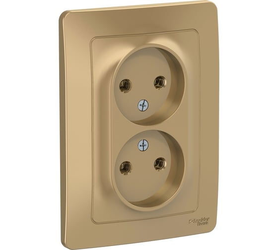 Розетка Systeme Electric Blanca внутр Титан 2-ая б/з без шторок, 16А, 250В SE BLNRS000024