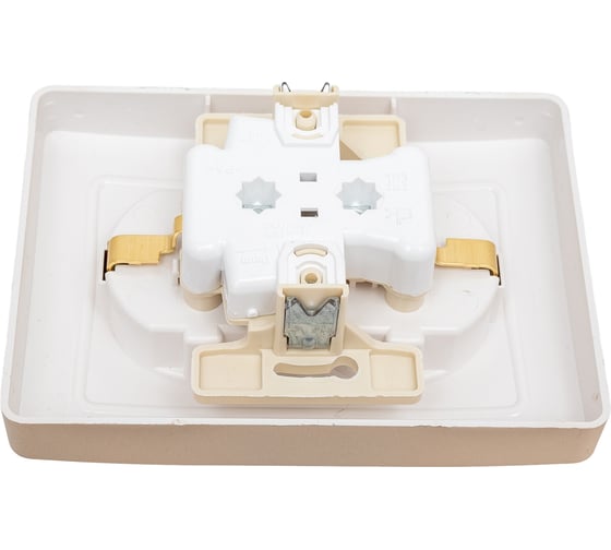 Розетка Systeme Electric Blanca внутр Титан 2-ая с/з без шторок, 16А, 250В SE BLNRS001024