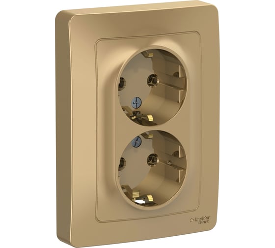 Розетка Systeme Electric Blanca внутр Титан 2-ая с/з без шторок, 16А, 250В SE BLNRS001024