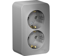 Розетка Systeme Electric Blanca наруж Алюминий 2-ая с/з без шторок, 16А, 250В SE BLNRA010203