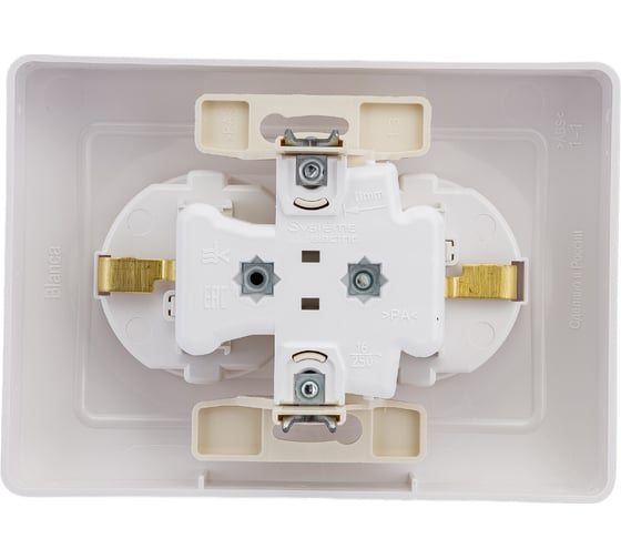 Розетка Systeme Electric Blanca внутр Бел 2-ая с/з со шторками, 16А, 250В SE BLNRS001121