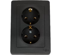Розетка Systeme Electric Blanca внутр Антрацит 2-ая с/з без шторок, 16А, 250В SE BLNRS001026