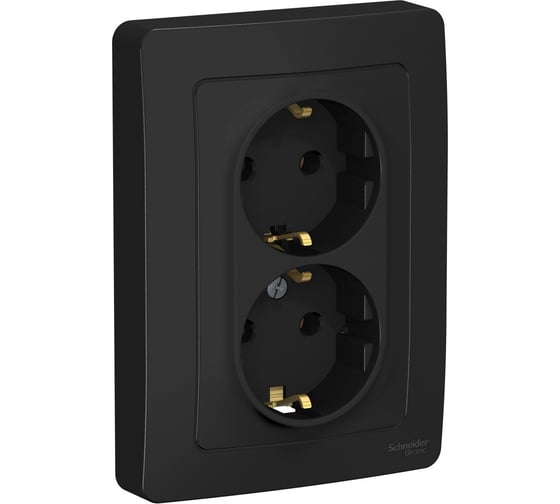 Розетка Systeme Electric Blanca внутр Антрацит 2-ая с/з без шторок, 16А, 250В SE BLNRS001026