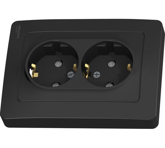 Розетка Systeme Electric Blanca внутр Антрацит 2-ая с/з со шторками, 16А, 250В SE BLNRS001126