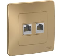 Розетка Systeme Electric Blanca внутр Титан 2-ая компьютерная RJ45 SE BLNIS045454