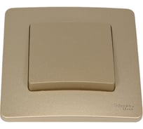 Переключатель Systeme Electric Blanca внутр Титан 1-клавишный, 10А, 250B SE BLNVS010604