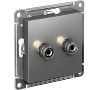 Аудиорозетка Systeme Electric AtlasDesign Сталь двухместная SE ATN000987