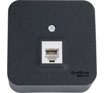 Телефонная розетка Systeme Electric Blanca наруж Антрацит RJ11 изолир. пластина SE BLNIA011006