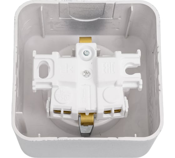 Розетка Systeme Electric Blanca наруж Алюминий с/з без шторок, 16А, 250В SE BLNRA010103