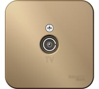 TV розетка Systeme Electric Blanca наруж Титан изолир. пластина SE BLNTA000014