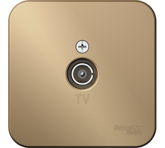 TV розетка Systeme Electric Blanca наруж Титан изолир. пластина SE BLNTA000014 1