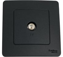 TV розетка Systeme Electric Blanca внутр Антрацит SE BLNTS000016