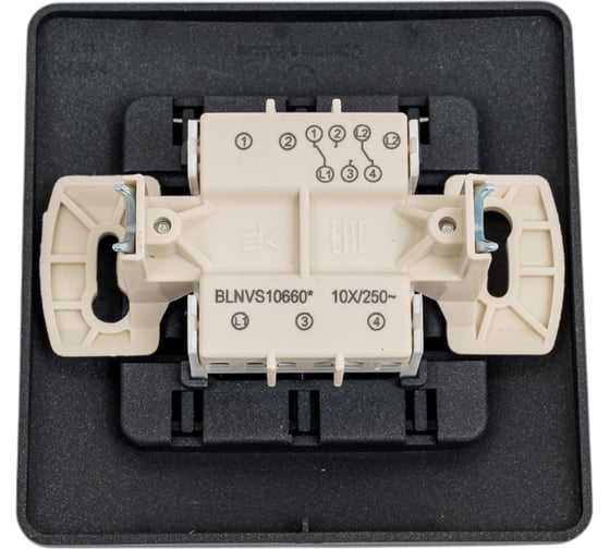 Переключатель Systeme Electric Blanca внутр Антрацит 2-клавишный, 10А, 250B SE BLNVS106606