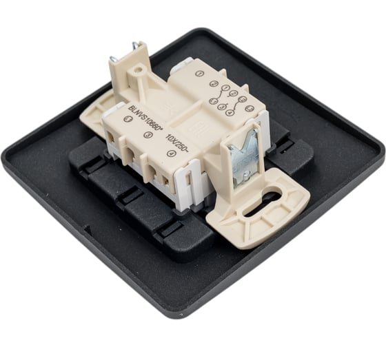 Переключатель Systeme Electric Blanca внутр Антрацит 2-клавишный, 10А, 250B SE BLNVS106606