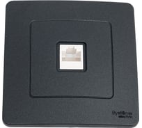 Компьютерная розетка Systeme Electric Blanca внутр Антрацит RJ45 SE BLNIS045006