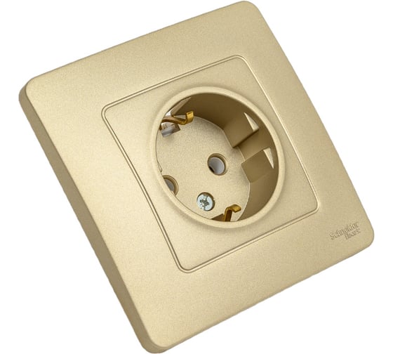 Розетка Systeme Electric Blanca внутр Титан с/з без шторок, 16А, 250В SE BLNRS001014