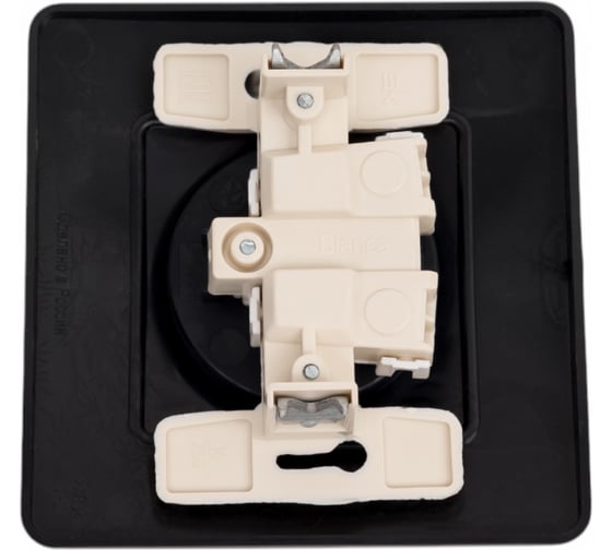 Розетка Systeme Electric Blanca внутр Антрацит б/з со шторками, 16А, 250В SE BLNRS000116
