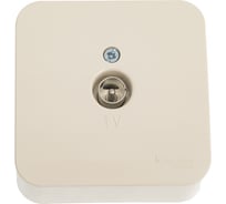 TV коннектор Systeme Electric Blanca наруж Беж изолир. пластина SE BLNTA000017