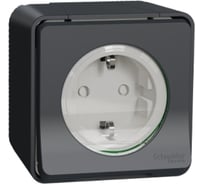 Розетка Systeme Electric Mureva Styl наружая Антрацит, с заземлением, и шторками, винтовые клеммы, IP55 MUR36731
