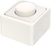 Диммер NE-AD 1000W, 250В, 10А, IP22, Murat, Белый, 95-10
