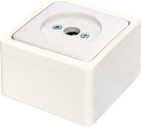 Проходная/концевая розетка TV NE-AD IP22, Murat, Белый, 95-07