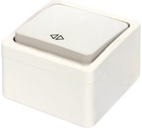 Проходной переключатель NE-AD 10А, 250В, IP22, Murat, Белый, 95-51