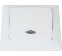 1-клавишный выключатель NE-AD с подсветкой, 10А, 250В, Aras, Белый, 93-110-01I