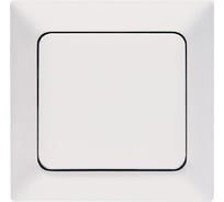 1-ключатель выключатель NE-AD 10А, 250В, Aras, Белый, 93-110-01