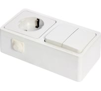 Блок 2-клавишный выключатель + розетка с заземлением NE-AD 10А, 250В 16А, 250В, IP22, Murat, Белый, NE-AD 95-03-08