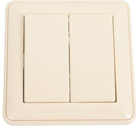 2-клавишный выключатель Systeme Electric скрытой проводки W59 10А IP20 10AX в сборе слоновая кость VS510-252-28