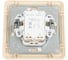 2-клавишный выключатель Systeme Electric скрытой проводки W59 10А IP20 10AX в сборе слоновая кость VS510-252-28 3
