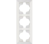 Вертикальная 3-местная рамка NE-AD Aras, Белый, 93-10-71