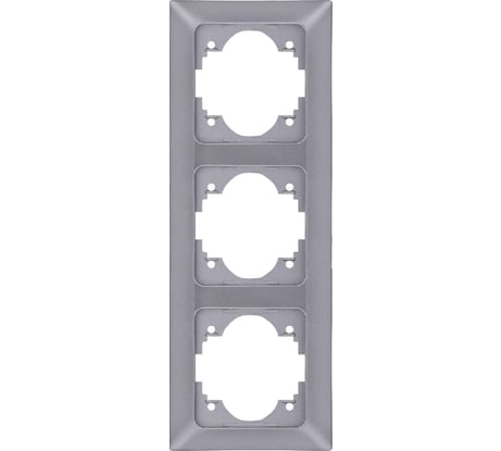 Вертикальная 3-местная рамка NE-AD Aras, Серебро, 93-22-71