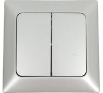 2-клавишный выключатель NE-AD 10А, 250В, Aras, Серебро, 93-122-03