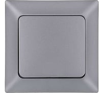 1-клавишный выключатель NE-AD 10А, 250В, Aras, Серебро, 93-122-01