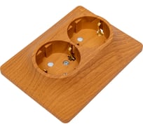 Розетка Systeme Electric Glossa Дерево Дуб Розетка 2-я с/з со шторками в сборе с рамкой SE GSL000526