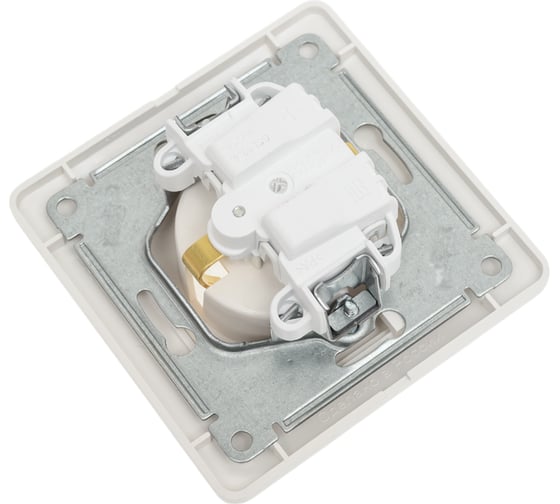 Розетка Systeme Electric Glossa Перламутр с/з, 16А в сборе SE GSL000642