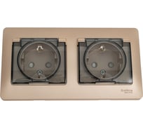 Розетка Systeme Electric Glossa Титан 2-ая с/з, со шторками, в сборе, IP44 SE GSL000447