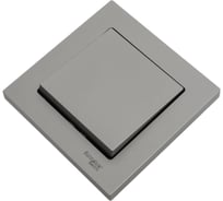1-клавишный выключатель Systeme Electric AtlasDesign Сталь сх.1, 10АХ, в сборе SE ATN000912