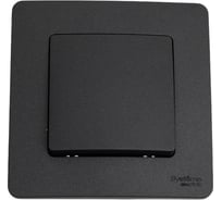 1-клавишный выключатель Systeme Electric Blanca внутренний, Антрацит, 10А, 250B SE BLNVS010106