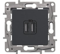 Зарядное устройство Legrand USB тип А / тип А Legrand Etika 3000мА 15Вт антрацит 672694