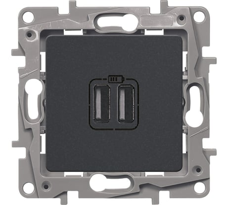 Зарядное устройство Legrand USB тип А / тип А Legrand Etika 3000мА 15Вт антрацит 672694