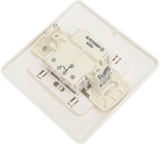 2-клавишный выключатель Systeme Electric Blanca внутренний, Молочный 6А, 250В SE BLNVS006502