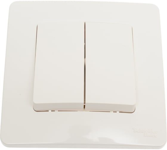 2-клавишный выключатель Systeme Electric Blanca внутренний, Молочный 6А, 250В SE BLNVS006502