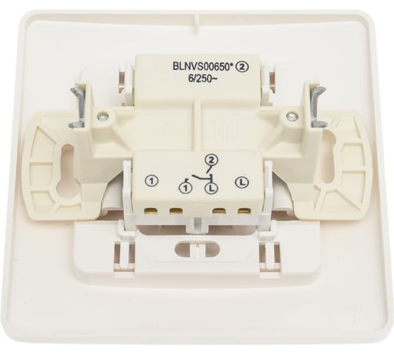 2-клавишный выключатель Systeme Electric Blanca внутренний, Молочный 6А, 250В SE BLNVS006502