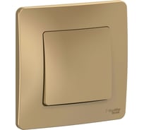 1-клавишный выключатель Systeme Electric Blanca внутренний, Титан, 10А, 250B SE BLNVS010104