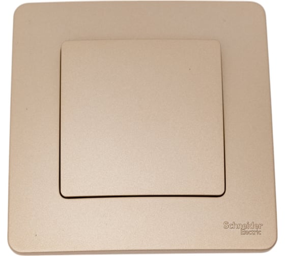 1-клавишный выключатель Systeme Electric Blanca внутренний, Титан, 10А, 250B SE BLNVS010104