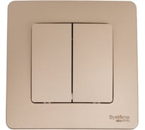 2-клавишный выключатель Systeme Electric Blanca внутренний, Титан, 10А, 250B SE BLNVS010504