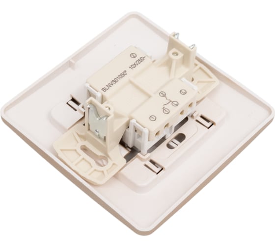 2-клавишный выключатель Systeme Electric Blanca внутренний, Титан, 10А, 250B SE BLNVS010504